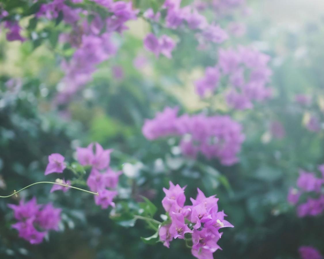 Motobu Terrace 빌라 외부 사진